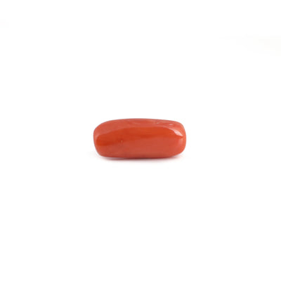Red Coral - 6.8 Carat