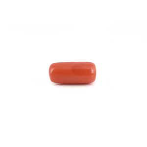 Red Coral - 8.45 Carat