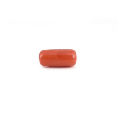 Red Coral - 8.45 Carat