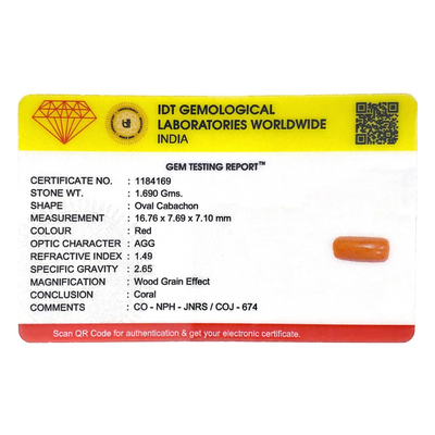 Red Coral - 8.45 Carat