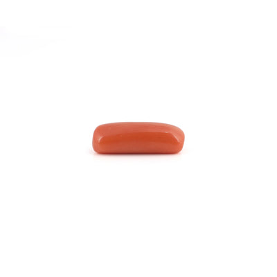 Red Coral - 7.2 Carat