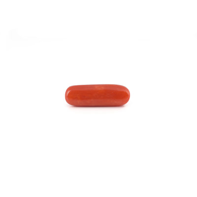 Red Coral - 8.6 Carat
