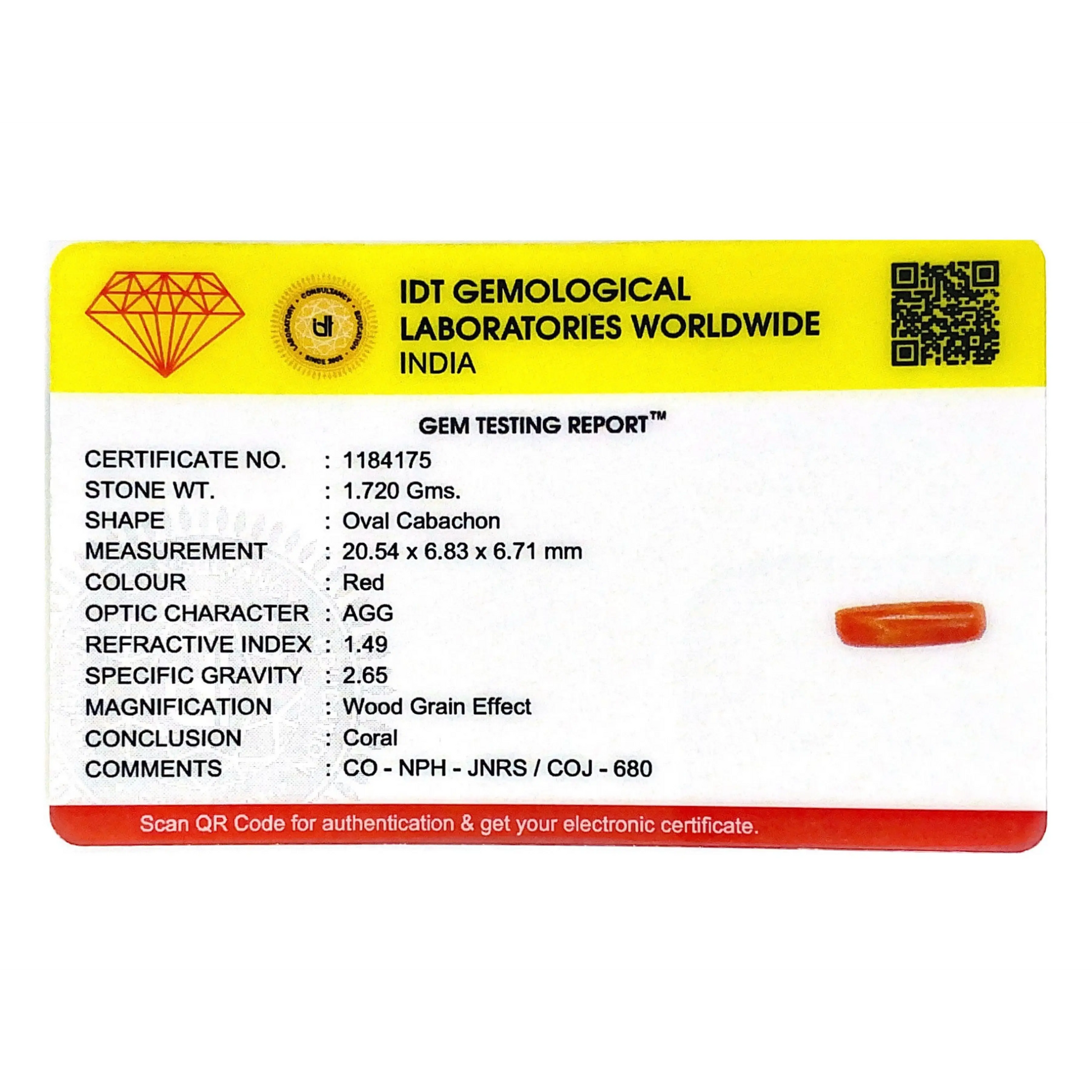 Red Coral - 8.6 Carat