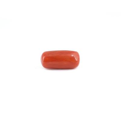 Red Coral - 6.9 Carat