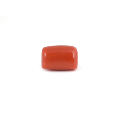 Red Coral - 14.35 Carat