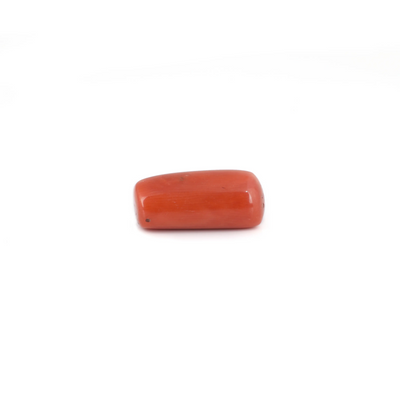 Red Coral - 10.8 Carat