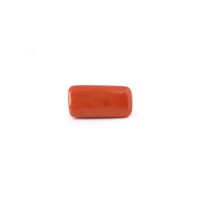 Red Coral - 15.3 Carat