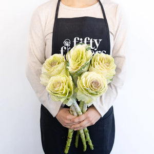 Ivory Princess Kale