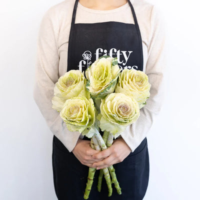 Ivory Princess Kale