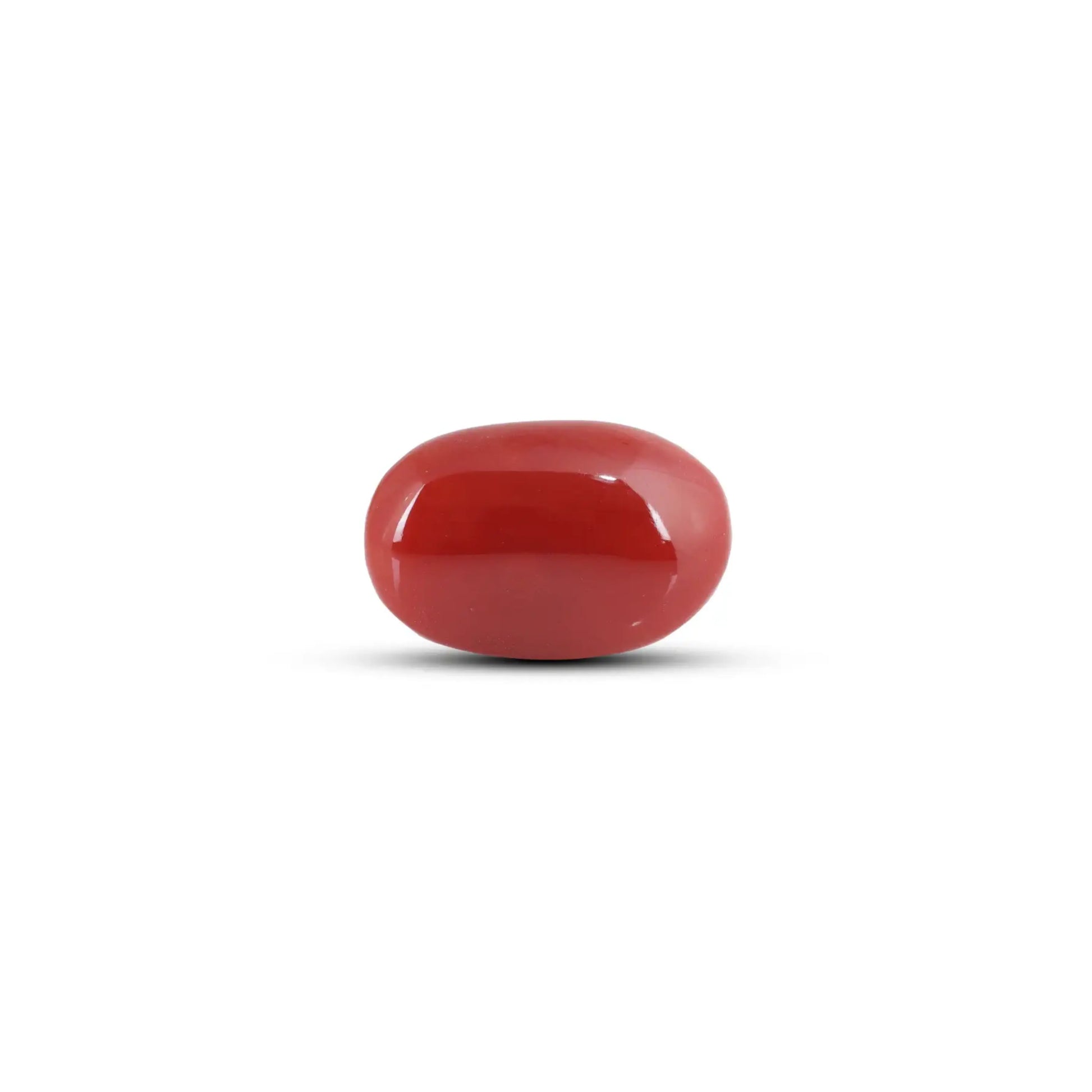 Japanese Red Coral - 5.75 Carat