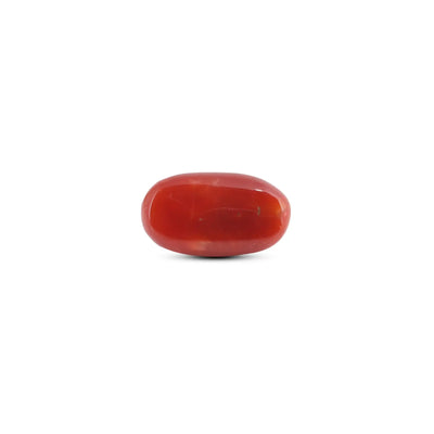 Japanese Red Coral - 7.85 Carat