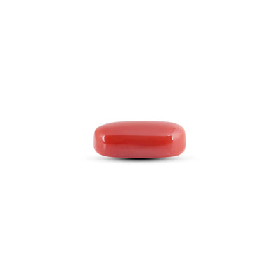Japanese Red Coral - 6.4 Carat