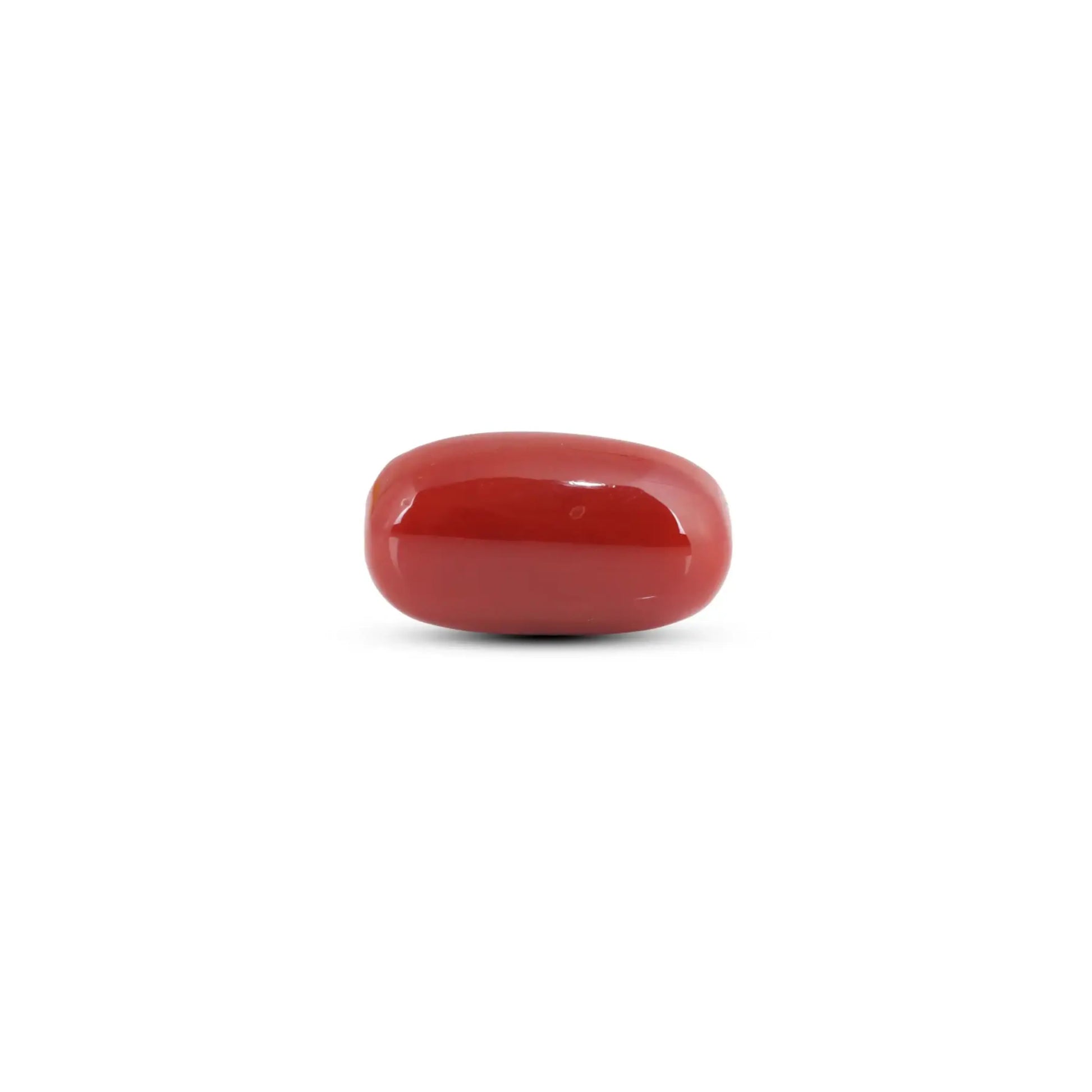 Japanese Red Coral - 10.35 Carat