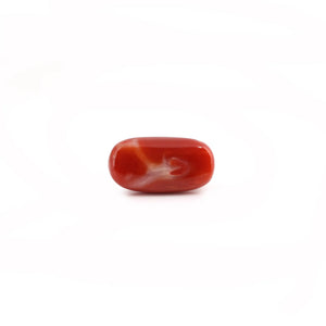 Japanese Red Coral - 9.1 Carat