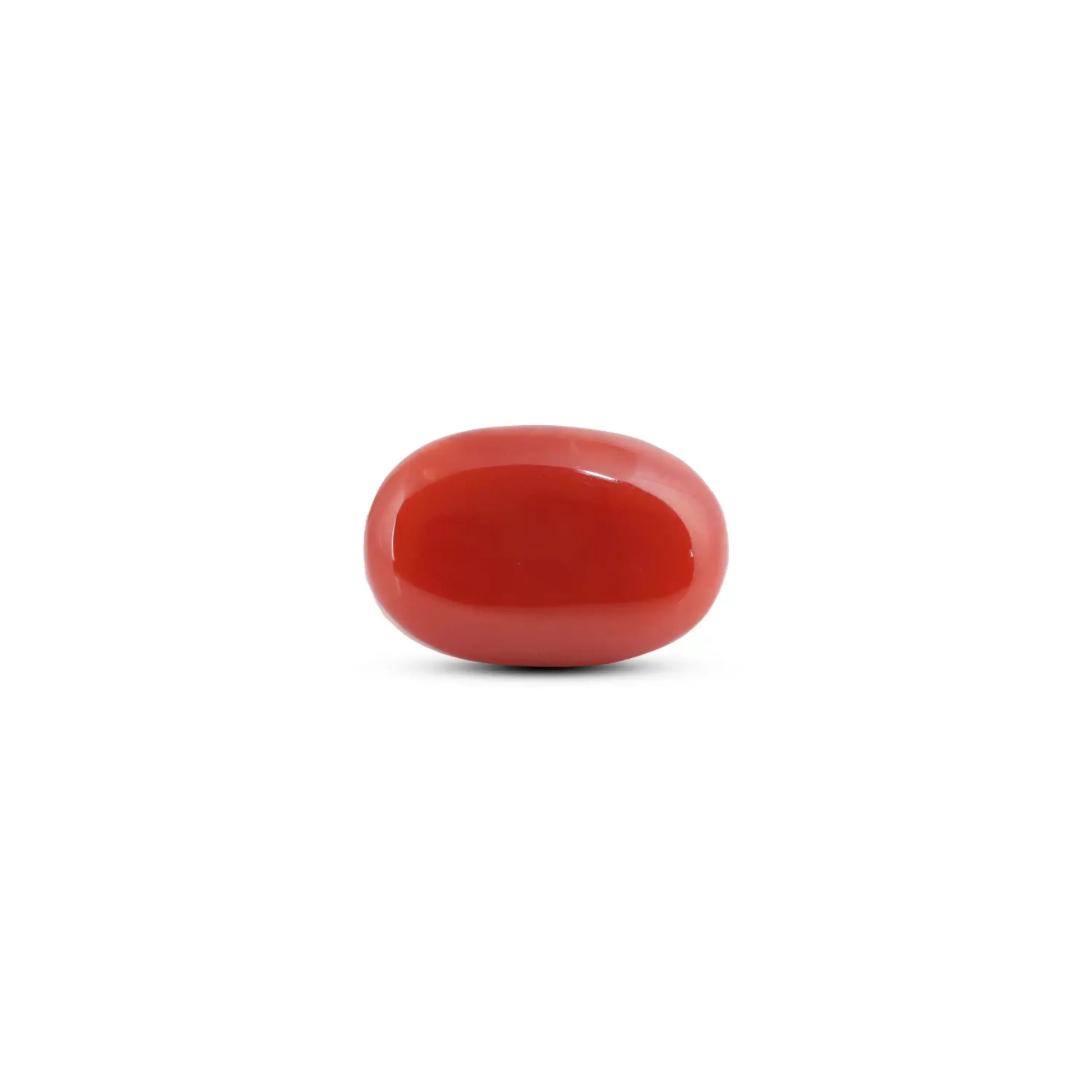 Japanese Red Coral - 11 Carat