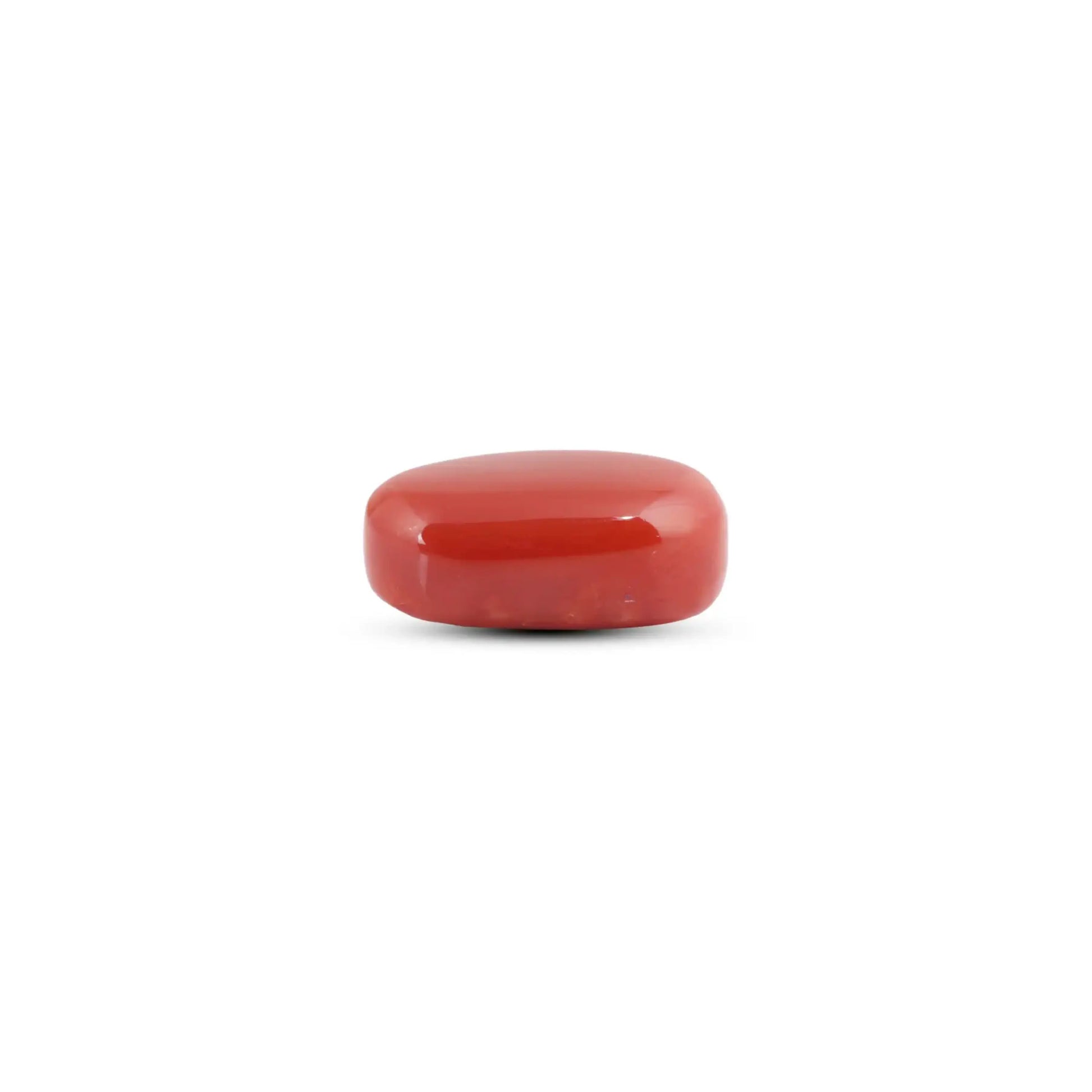 Japanese Red Coral - 11 Carat