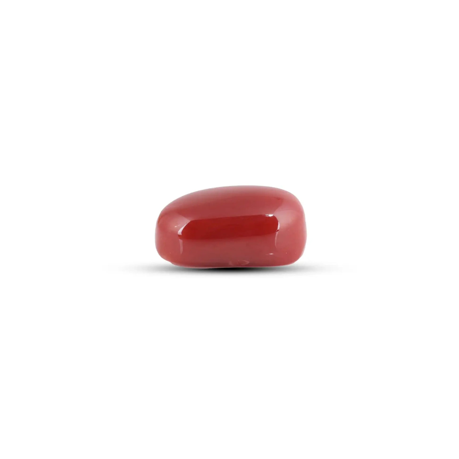 Japanese Red Coral - 6.35 Carat