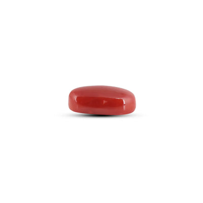Japanese Red Coral - 7.35 Carat