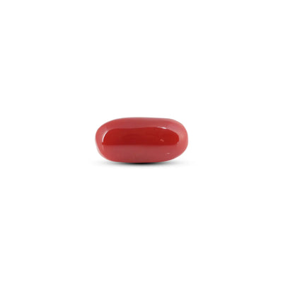 Japanese Red Coral - 5.25 Carat
