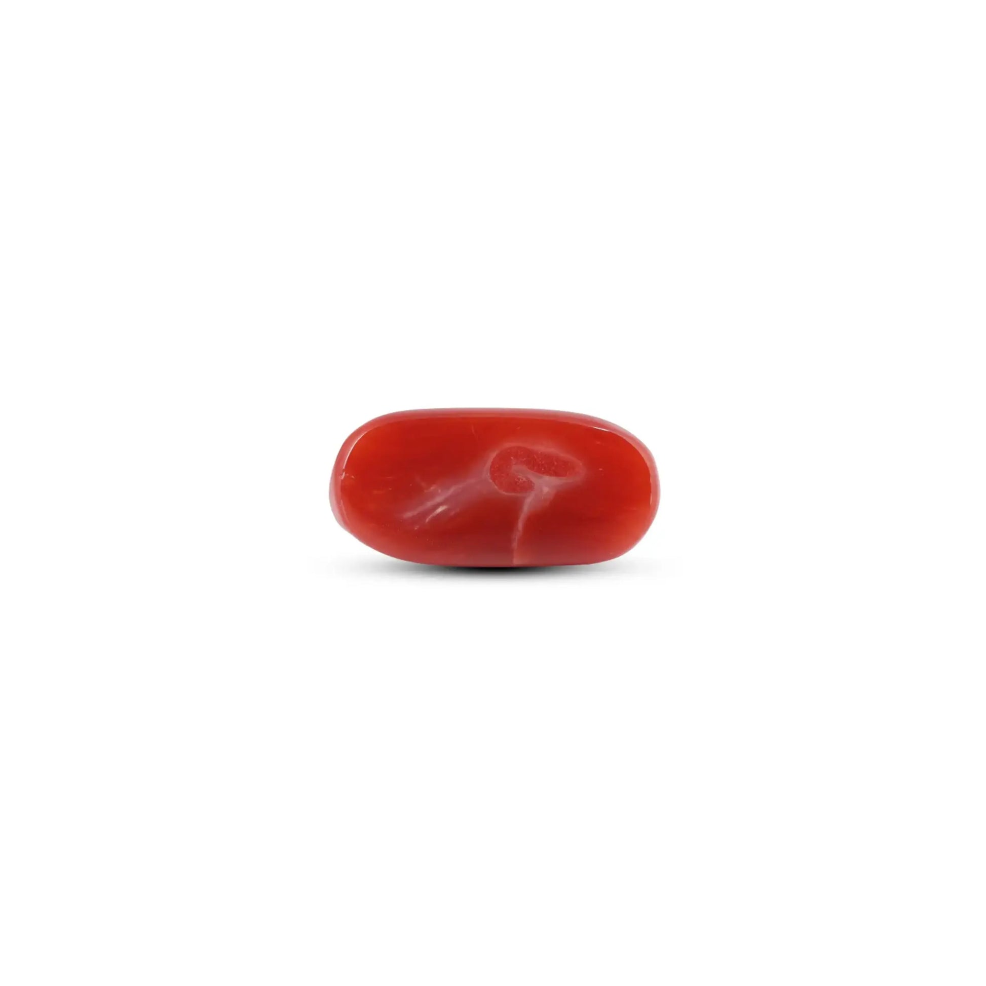 Japanese Red Coral - 5.25 Carat