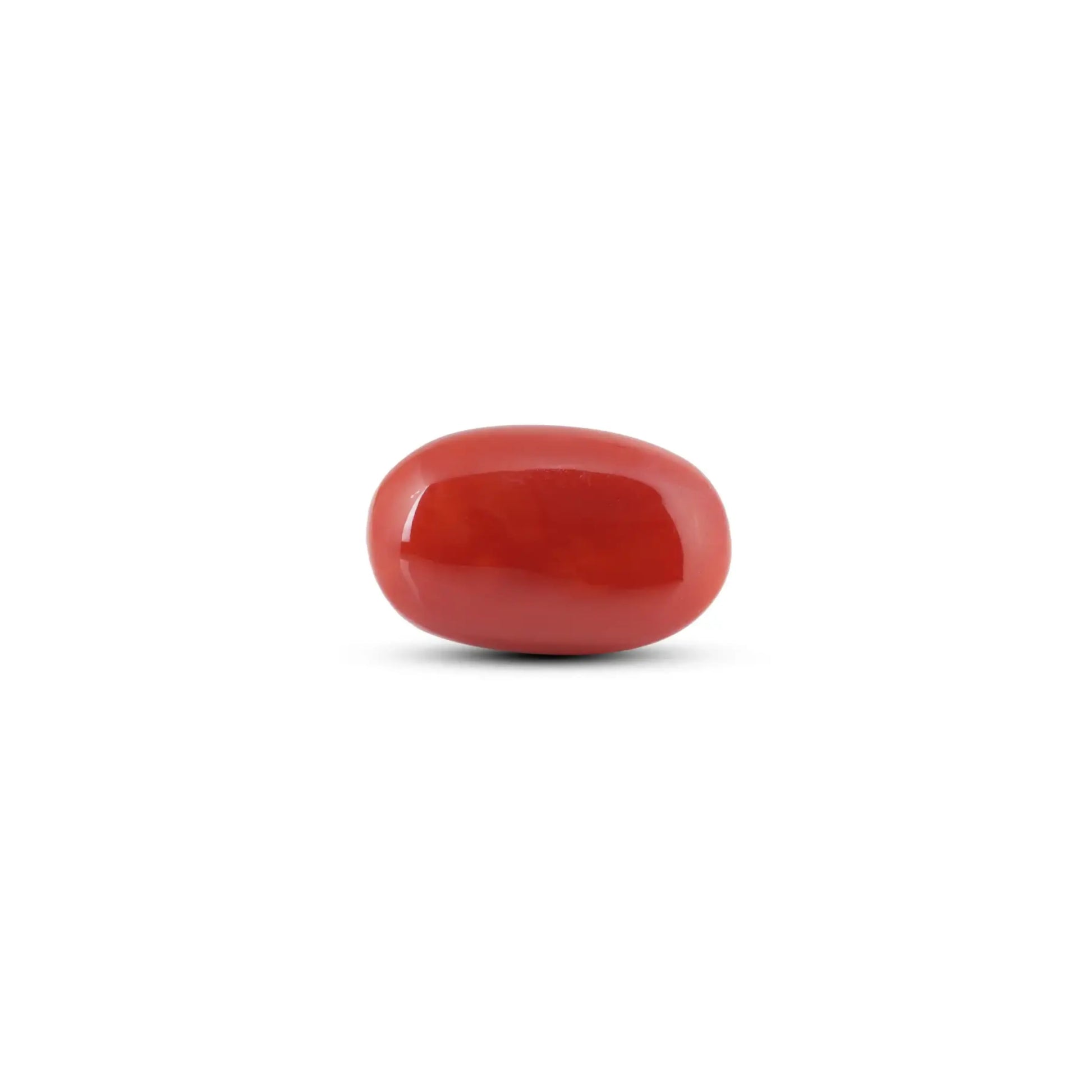 Japanese Red Coral - 7.05 Carat