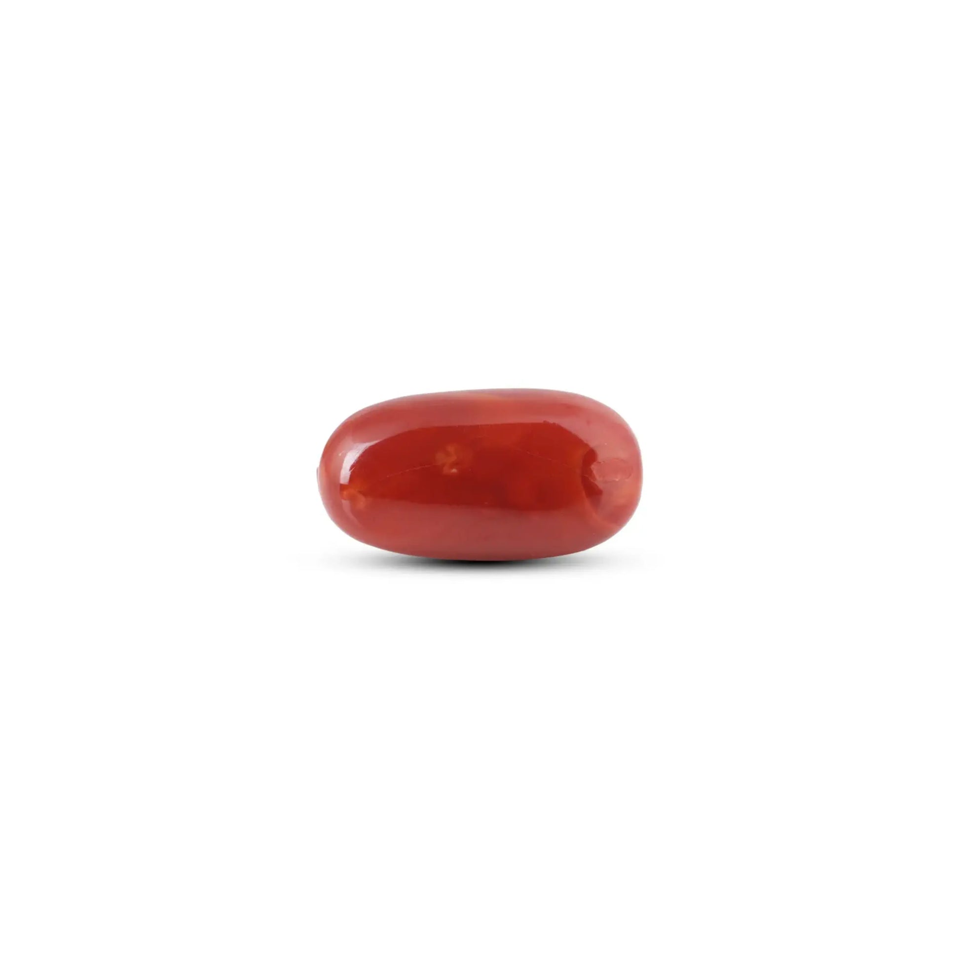 Japanese Red Coral - 11.55 Carat