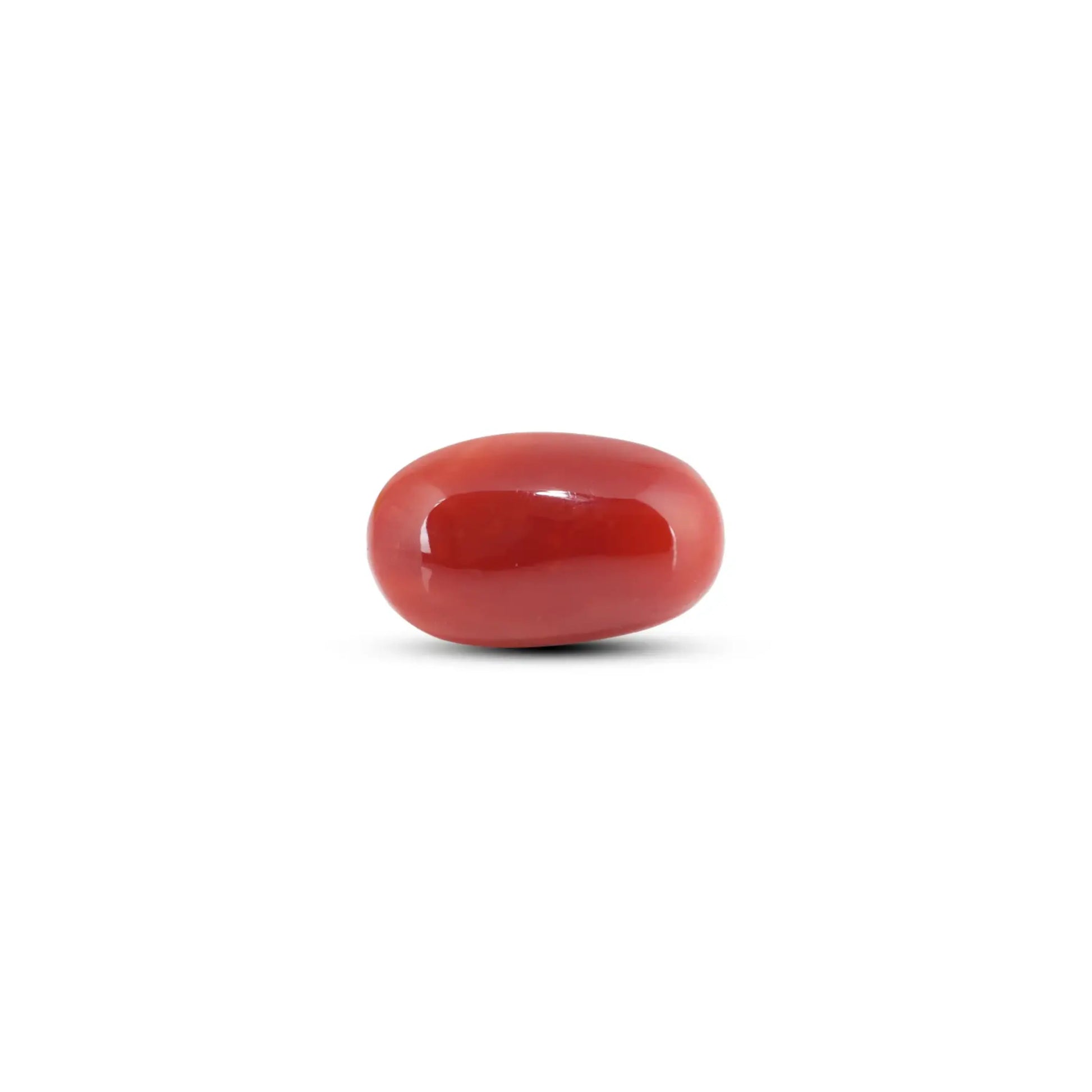 Japanese Red Coral - 7.4 Carat