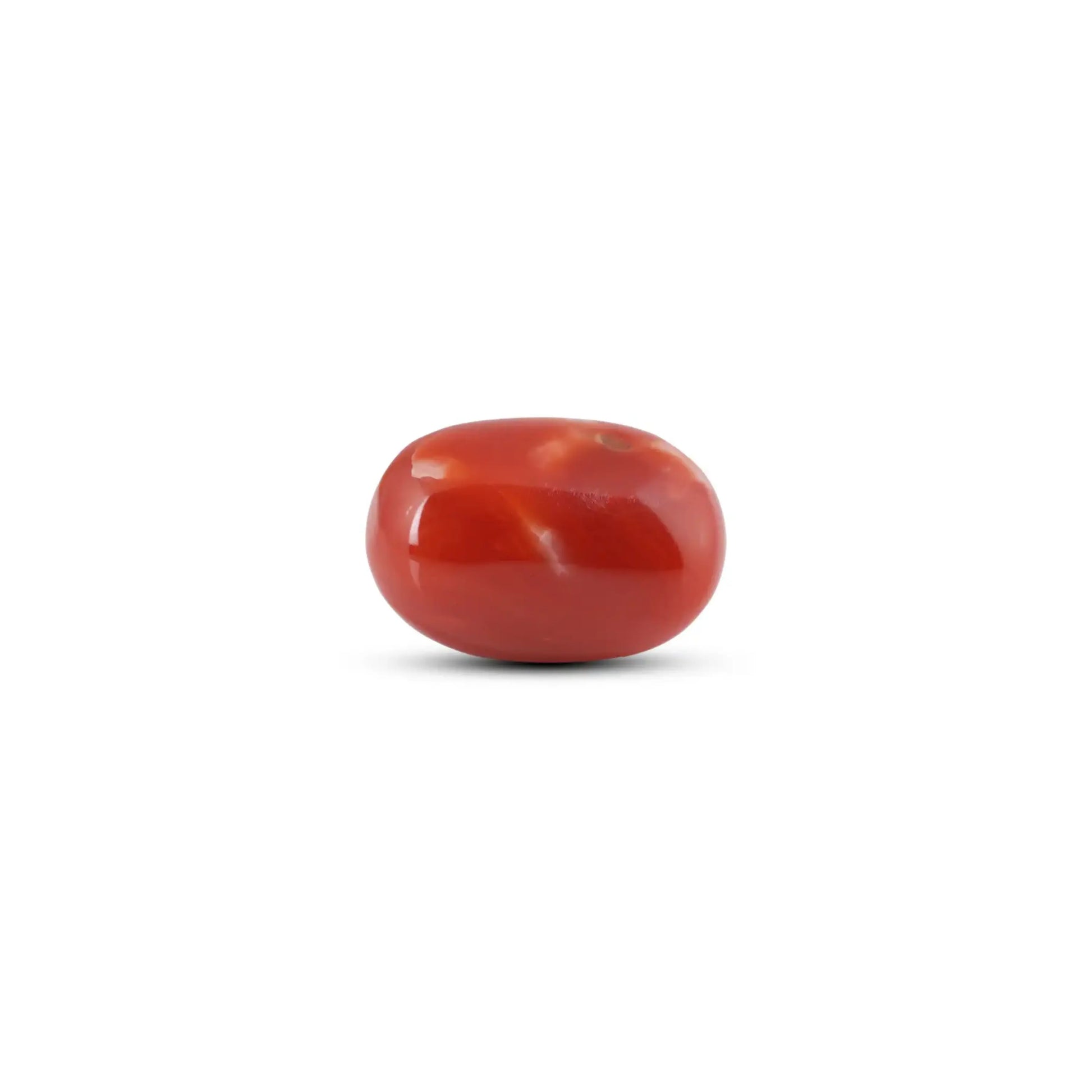 Japanese Red Coral - 14.2 Carat