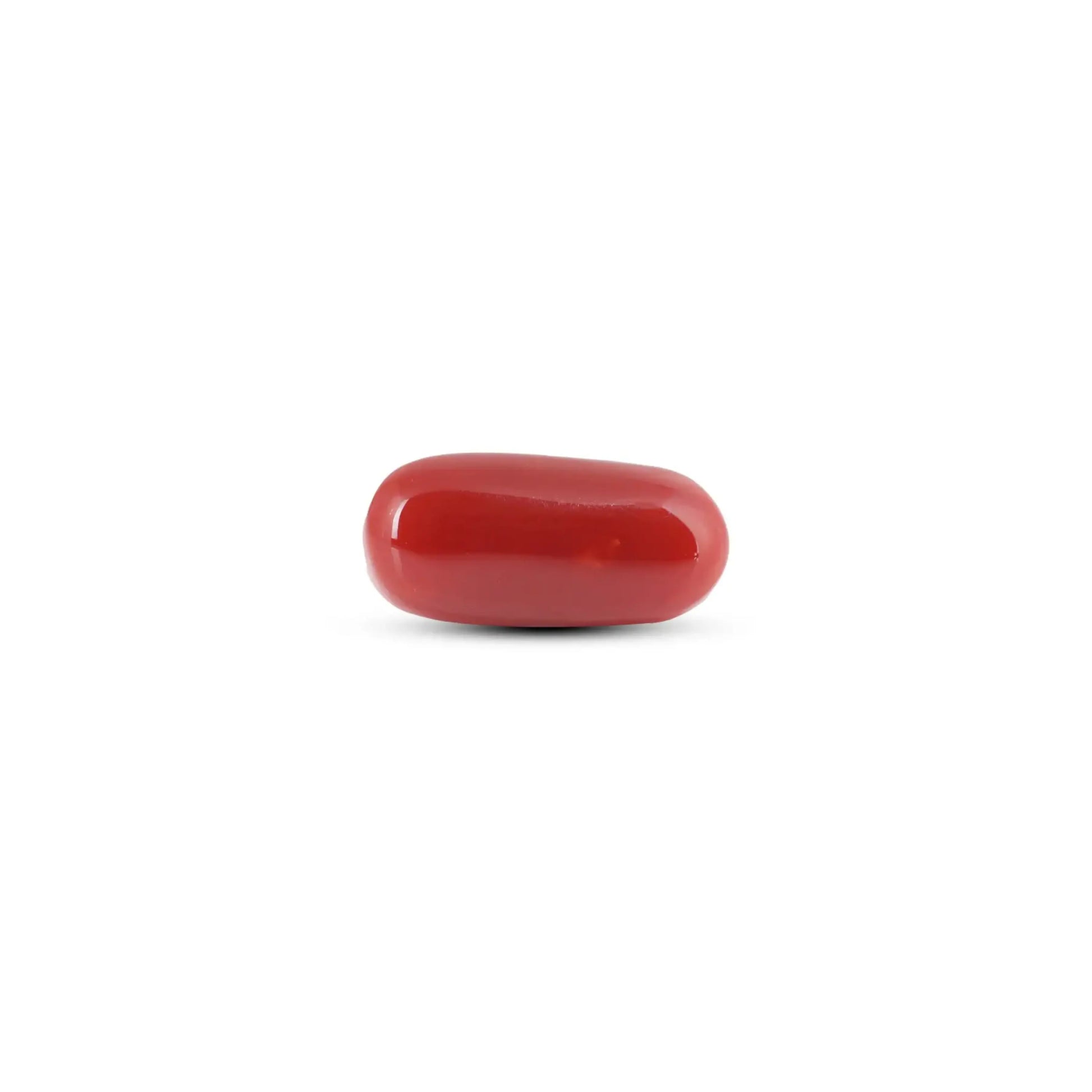 Japanese Red Coral - 7.3 Carat