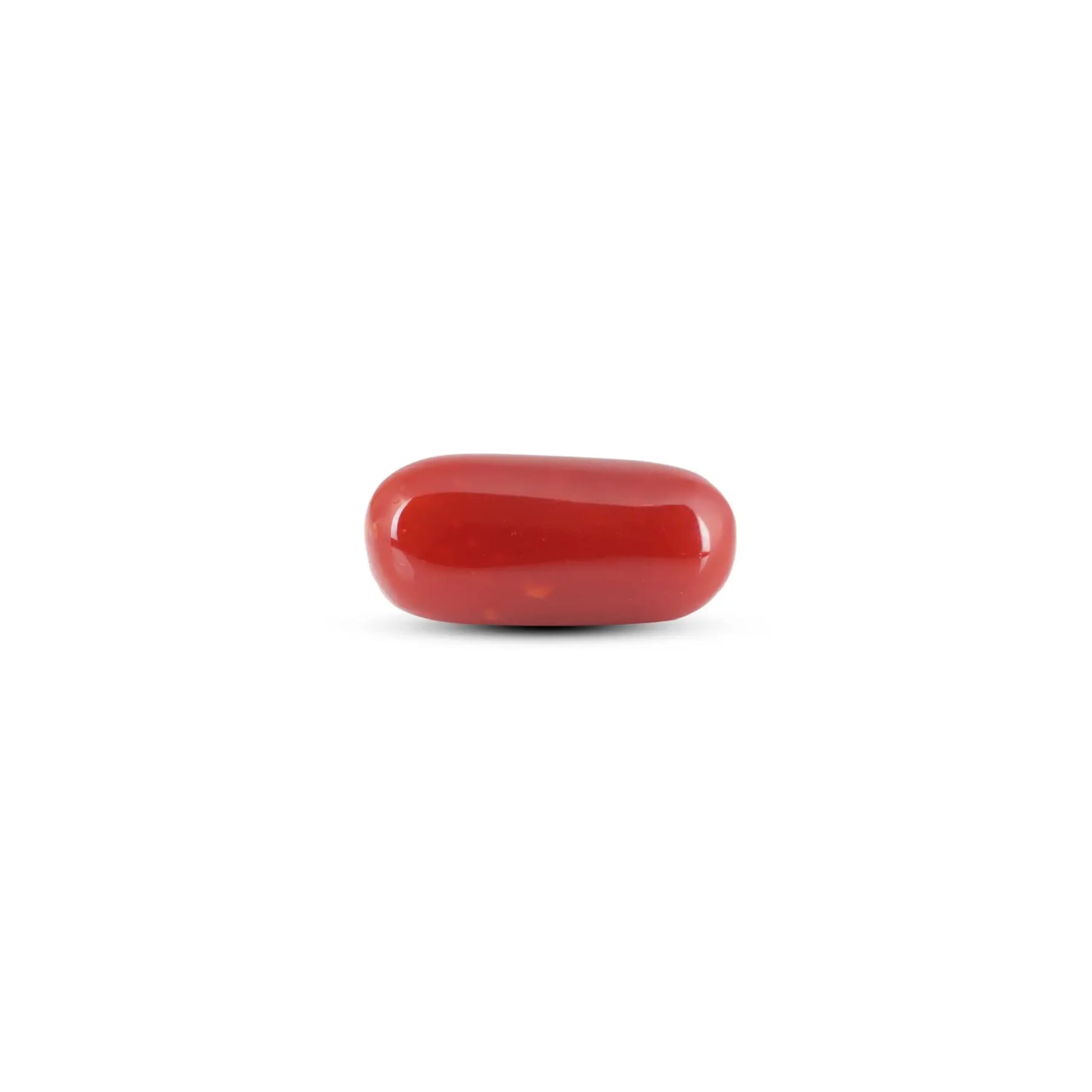 Japanese Red Coral - 8.75 Carat