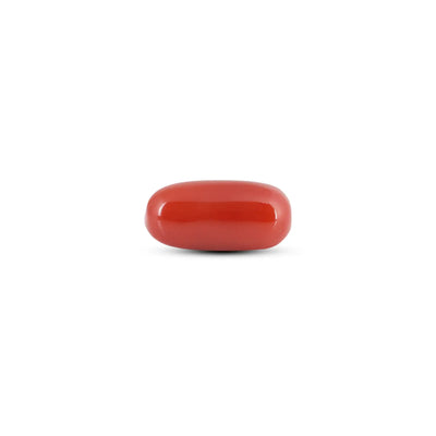 Japanese Red Coral - 5.85 Carat
