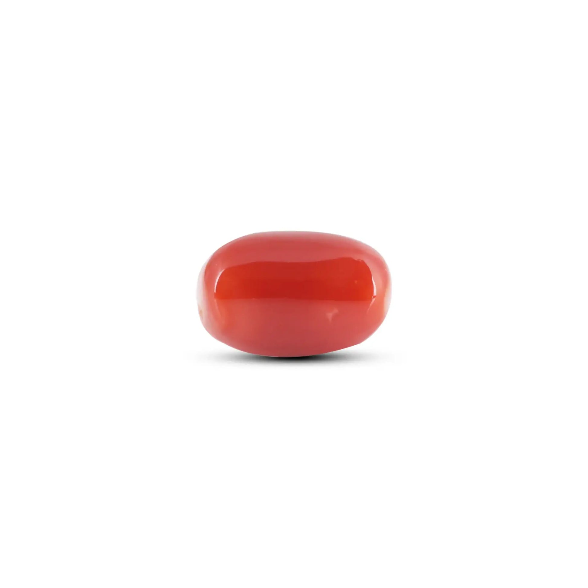 Japanese Red Coral - 6 Carat