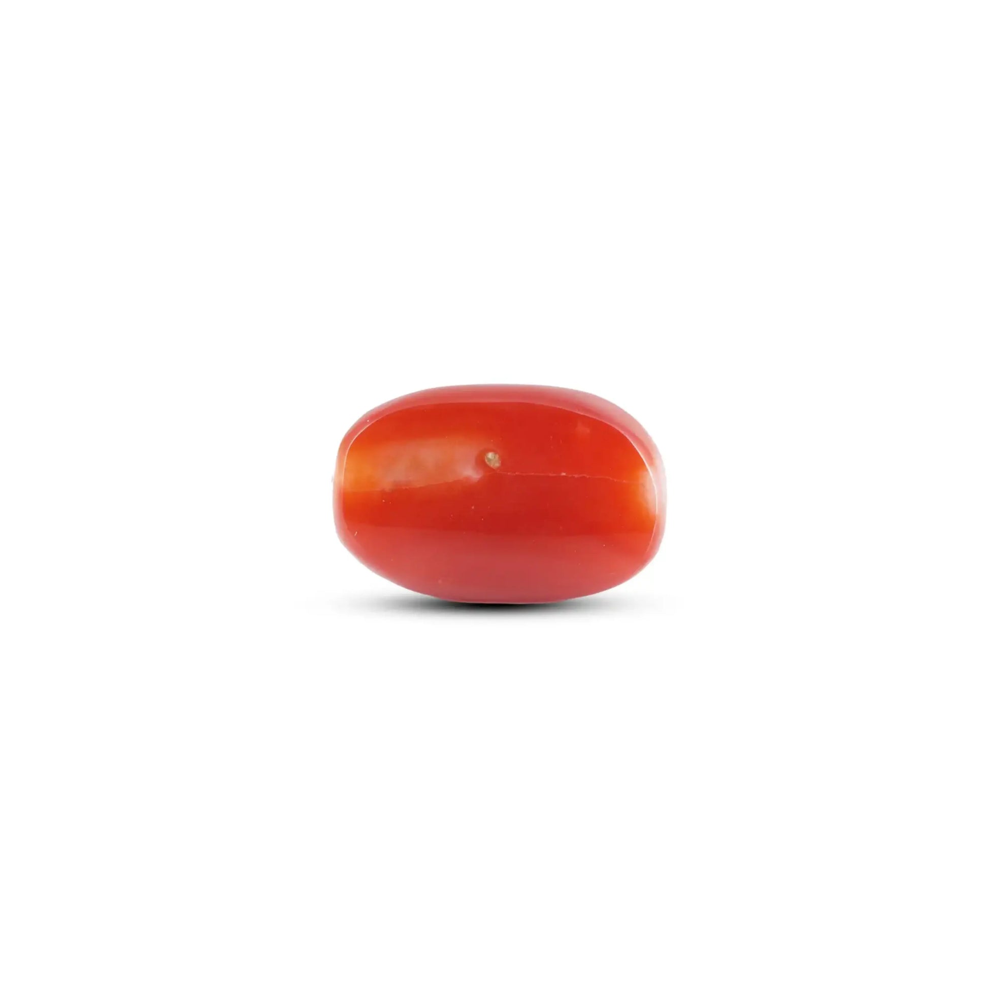 Japanese Red Coral - 6 Carat