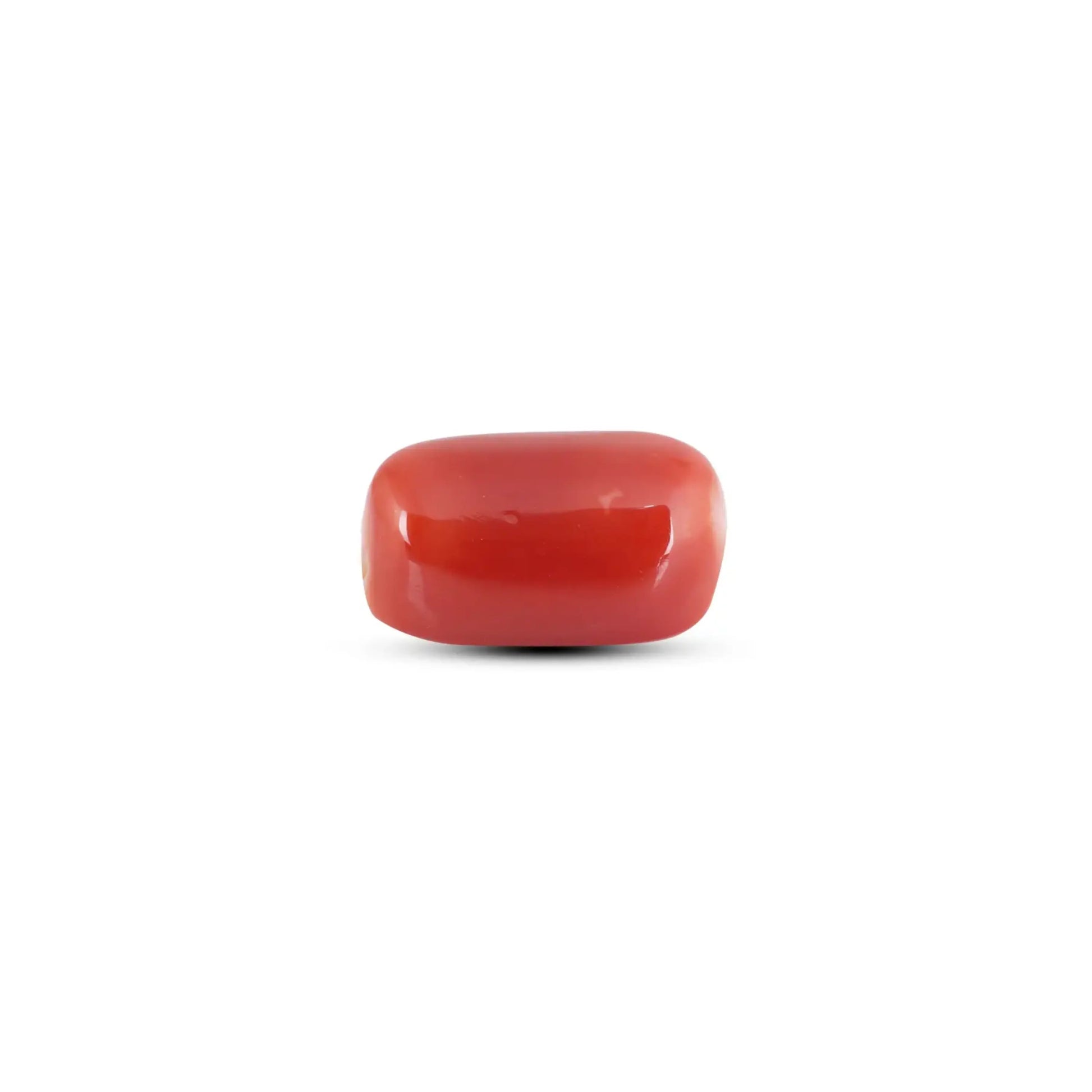 Japanese Red Coral - 6 Carat