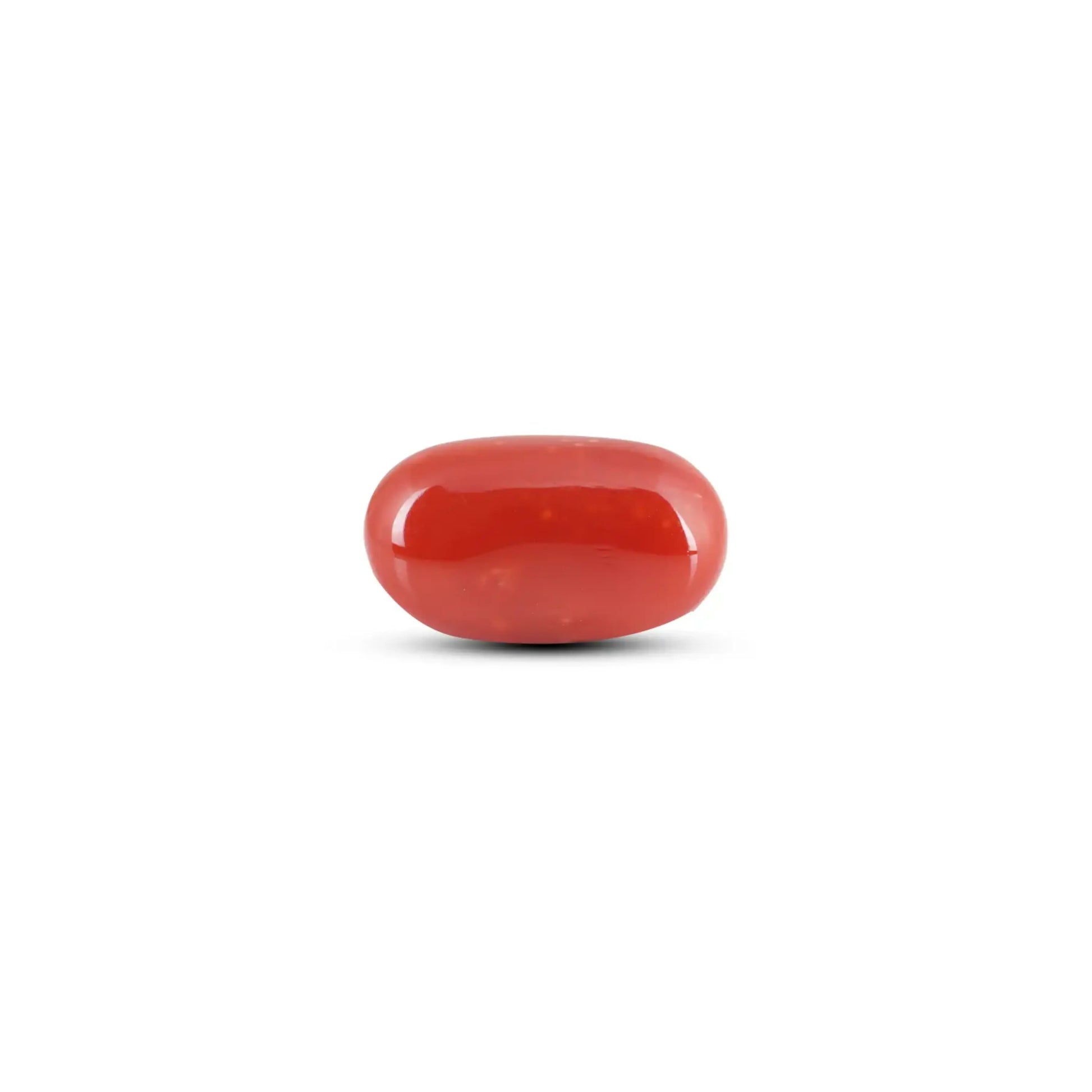 Japanese Red Coral - 8.4 Carat