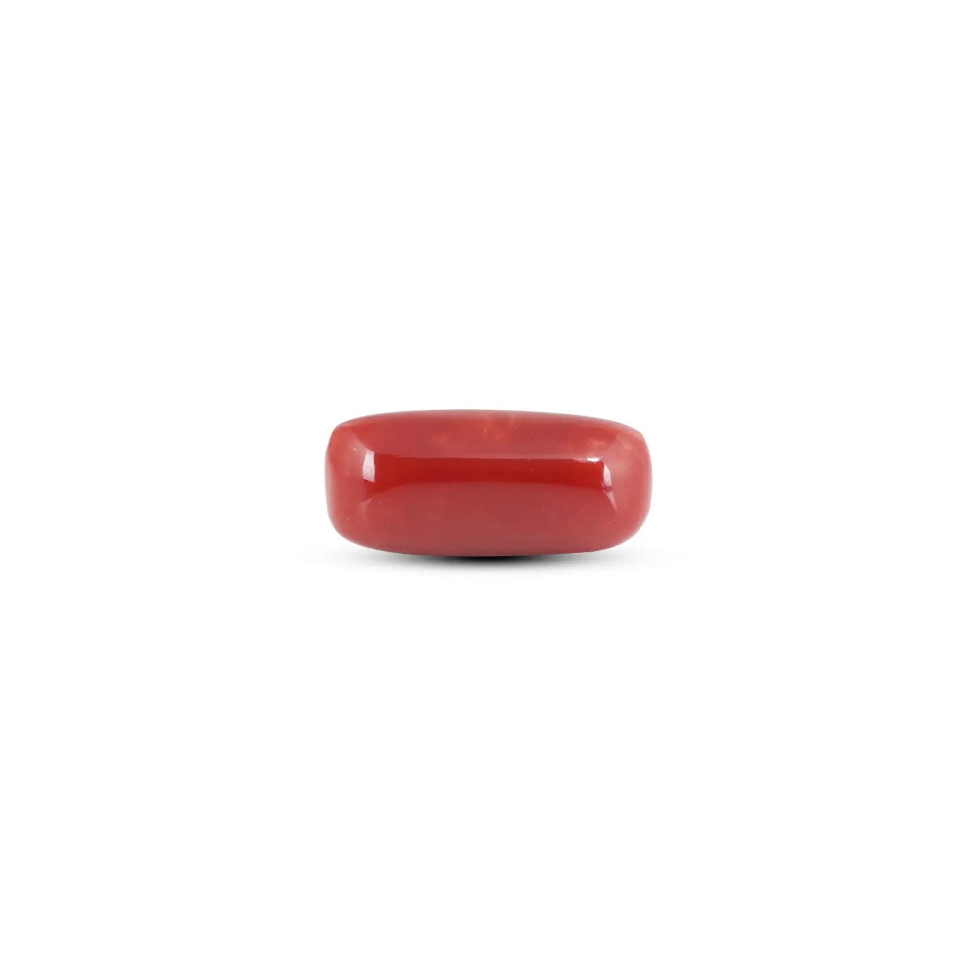 Japanese Red Coral - 7.2 Carat