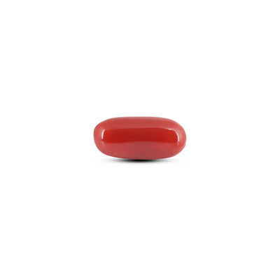 Japanese Red Coral - 6.4 Carat