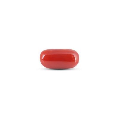 Japanese Red Coral - 6.9 Carat