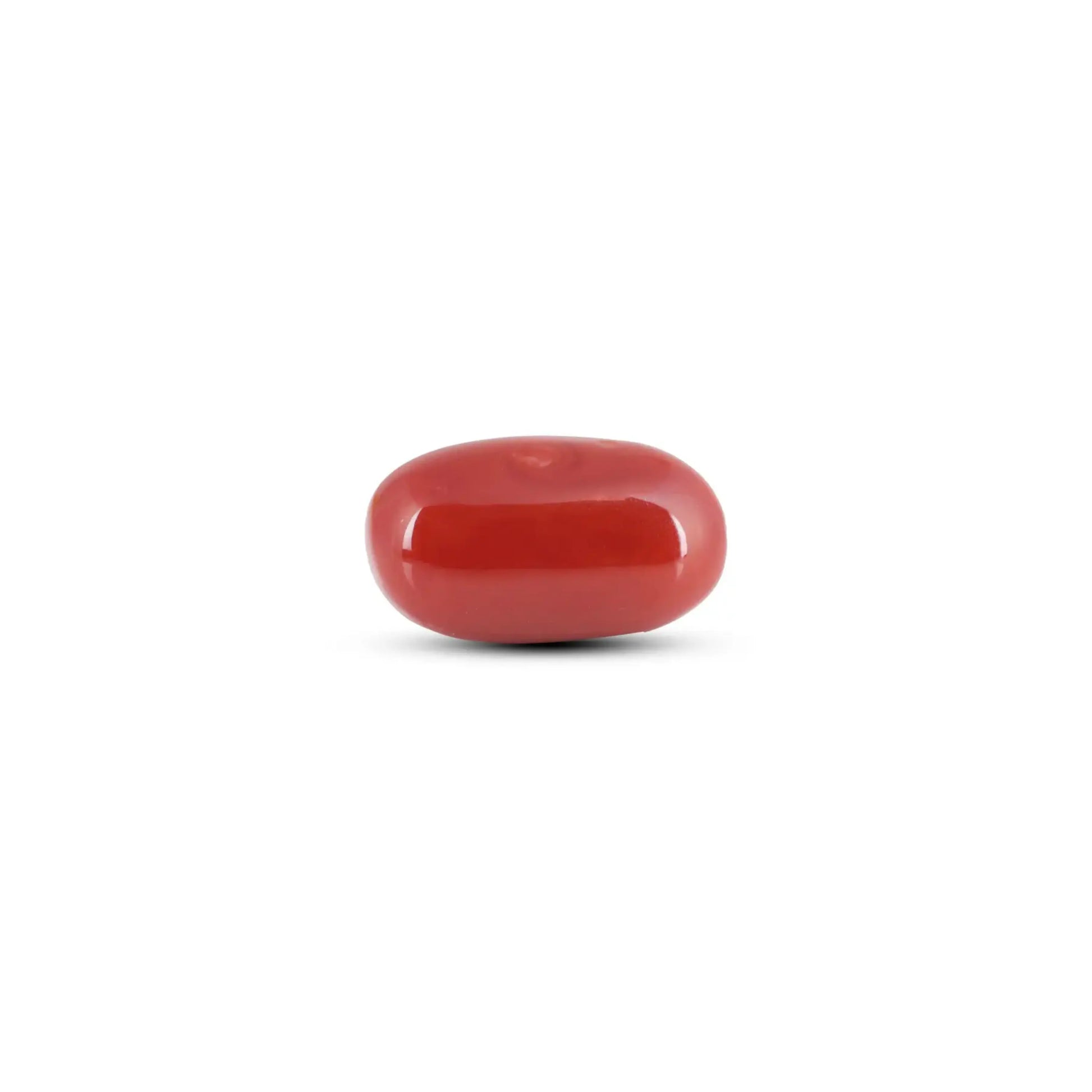 Japanese Red Coral - 6 Carat