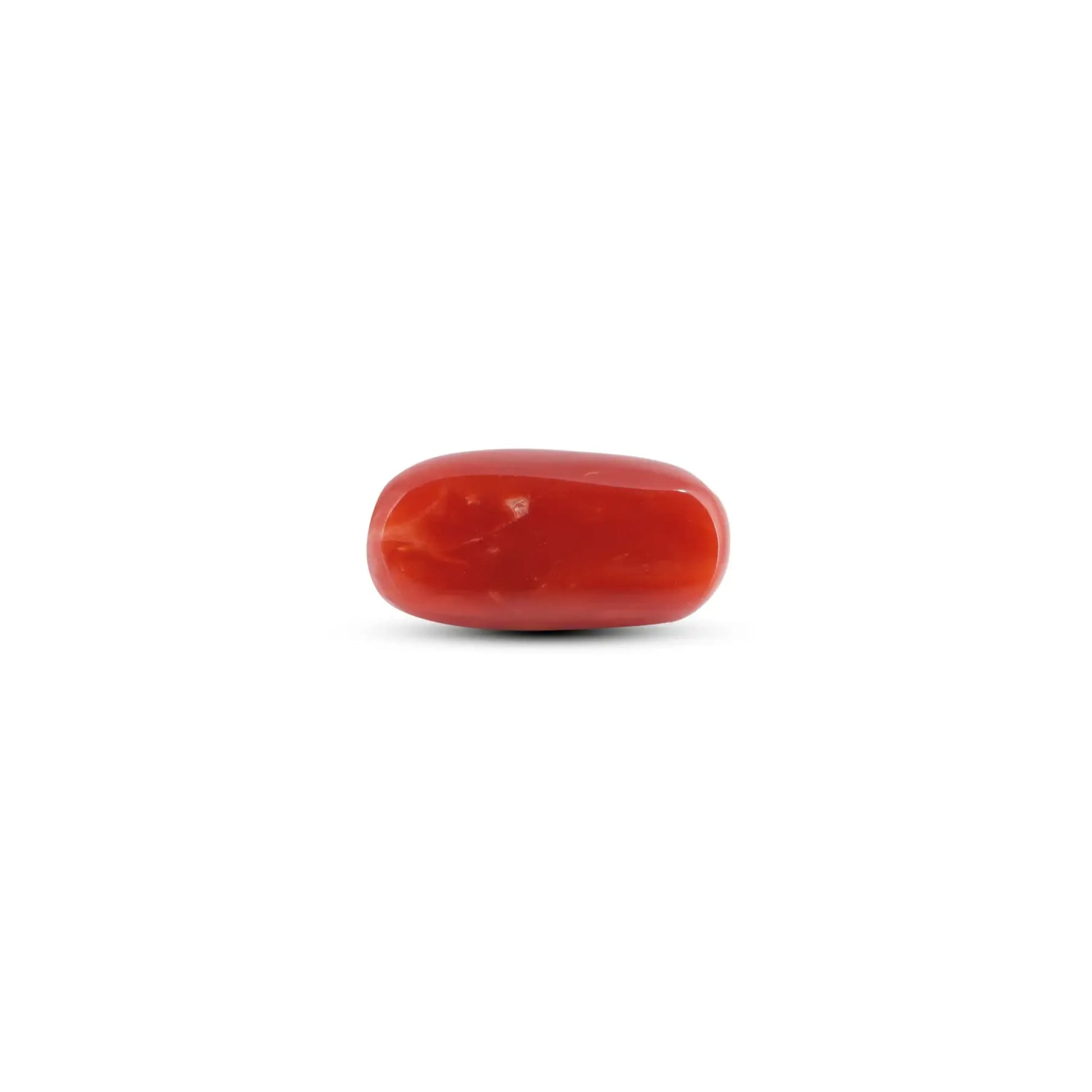 Japanese Red Coral - 5.9 Carat