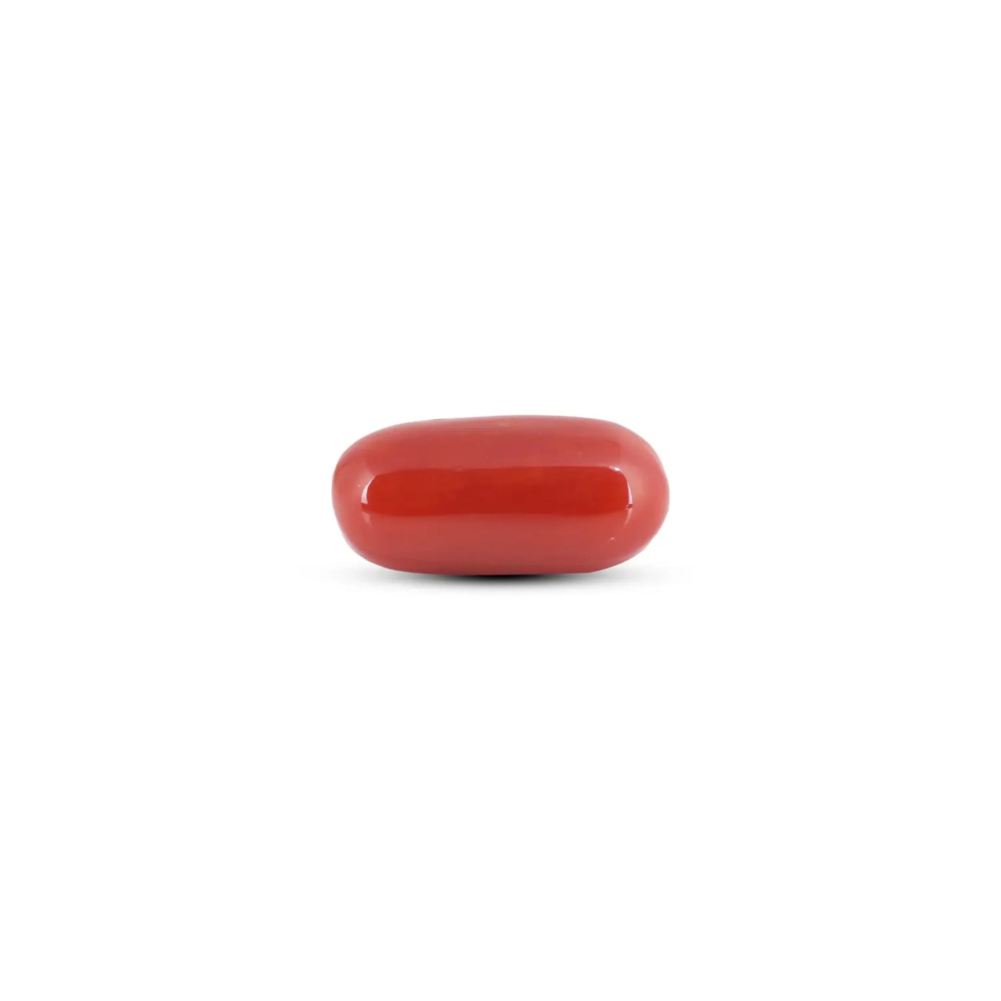Japanese Red Coral - 6.5 Carat