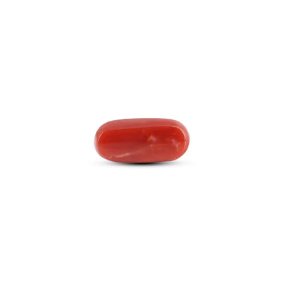 Japanese Red Coral - 6.5 Carat