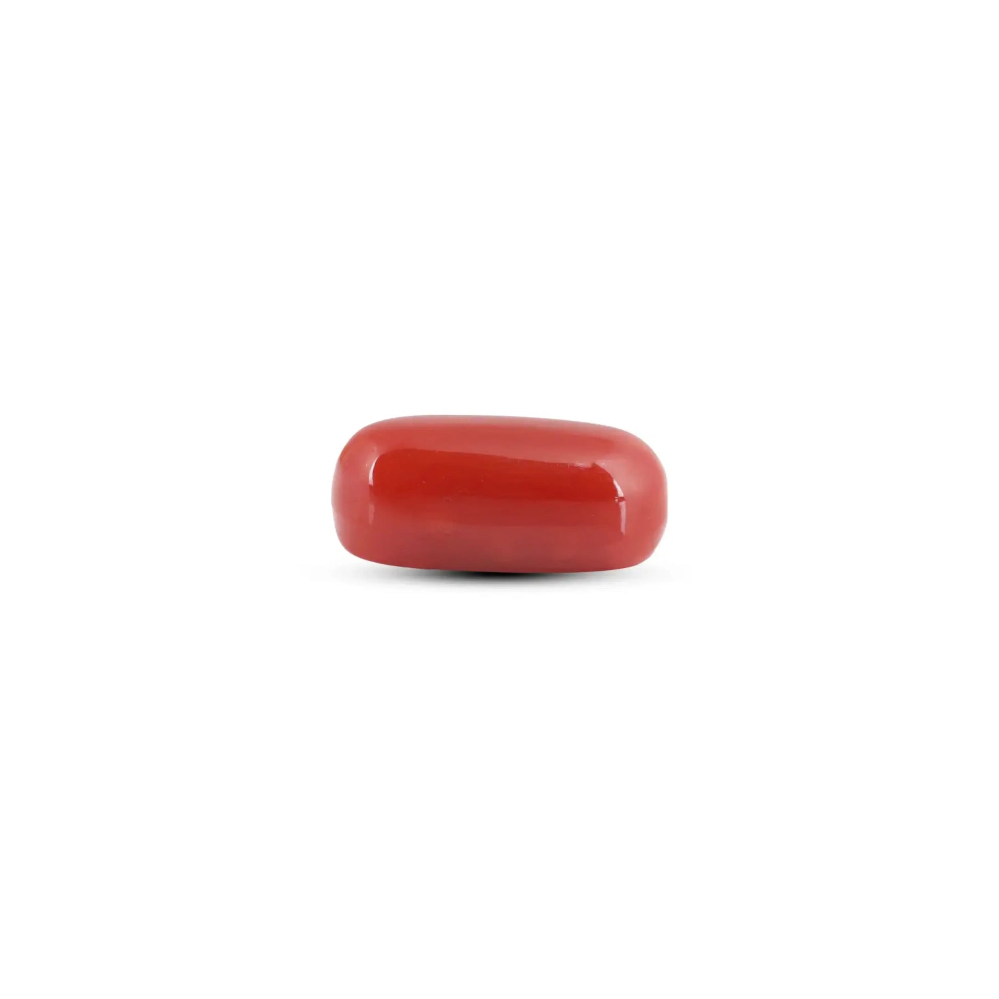 Japanese Red Coral - 6.5 Carat