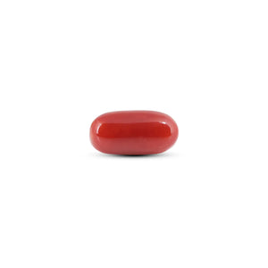 Japanese Red Coral - 5.8 Carat