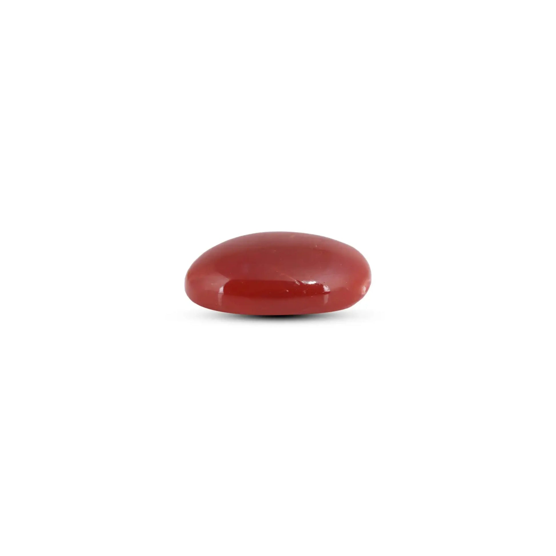 Japanese Red Coral - 7.75 Carat