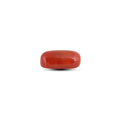 Japanese Red Coral - 6.6 Carat