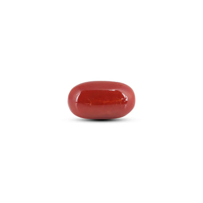 Japanese Red Coral - 7.8 Carat