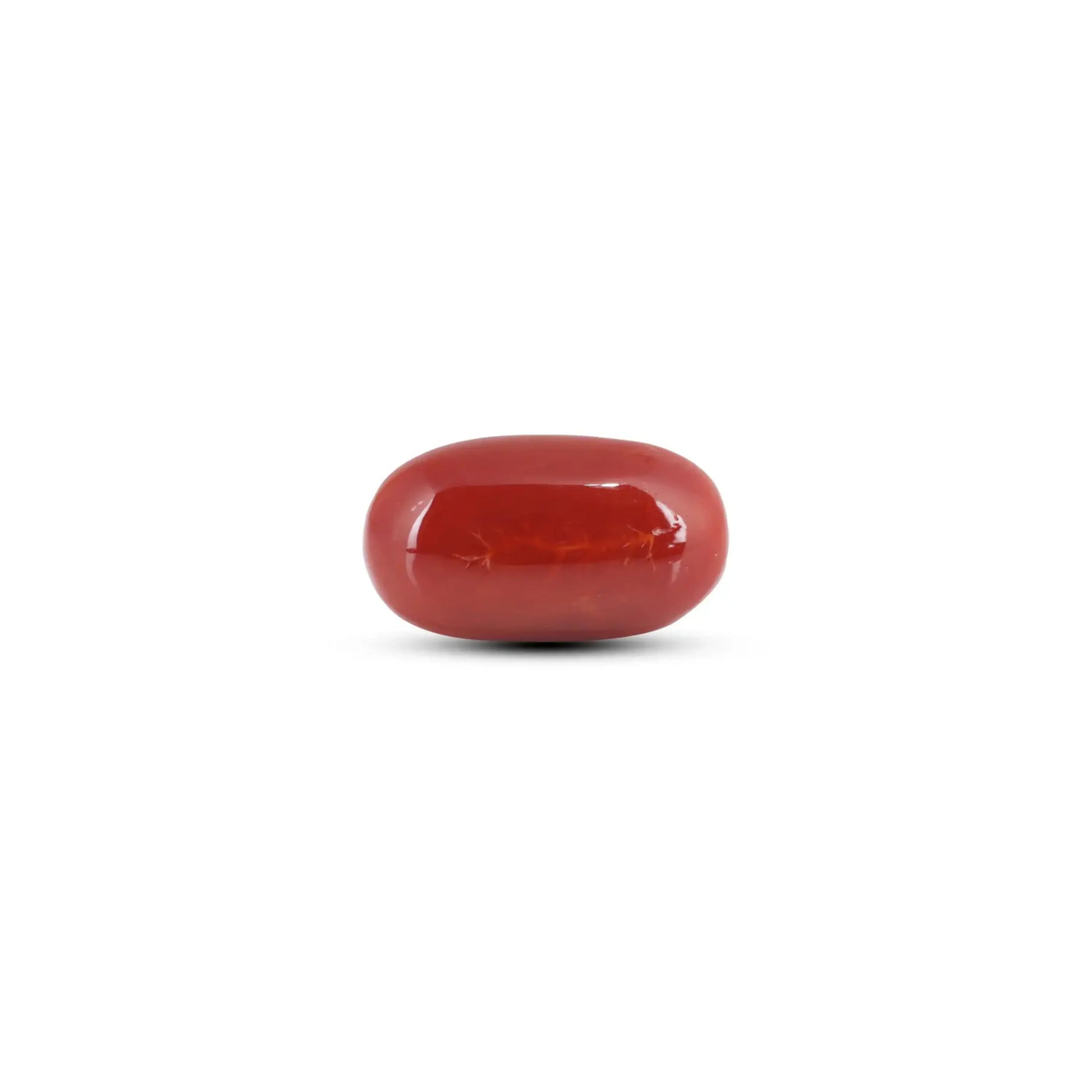 Japanese Red Coral - 7.8 Carat