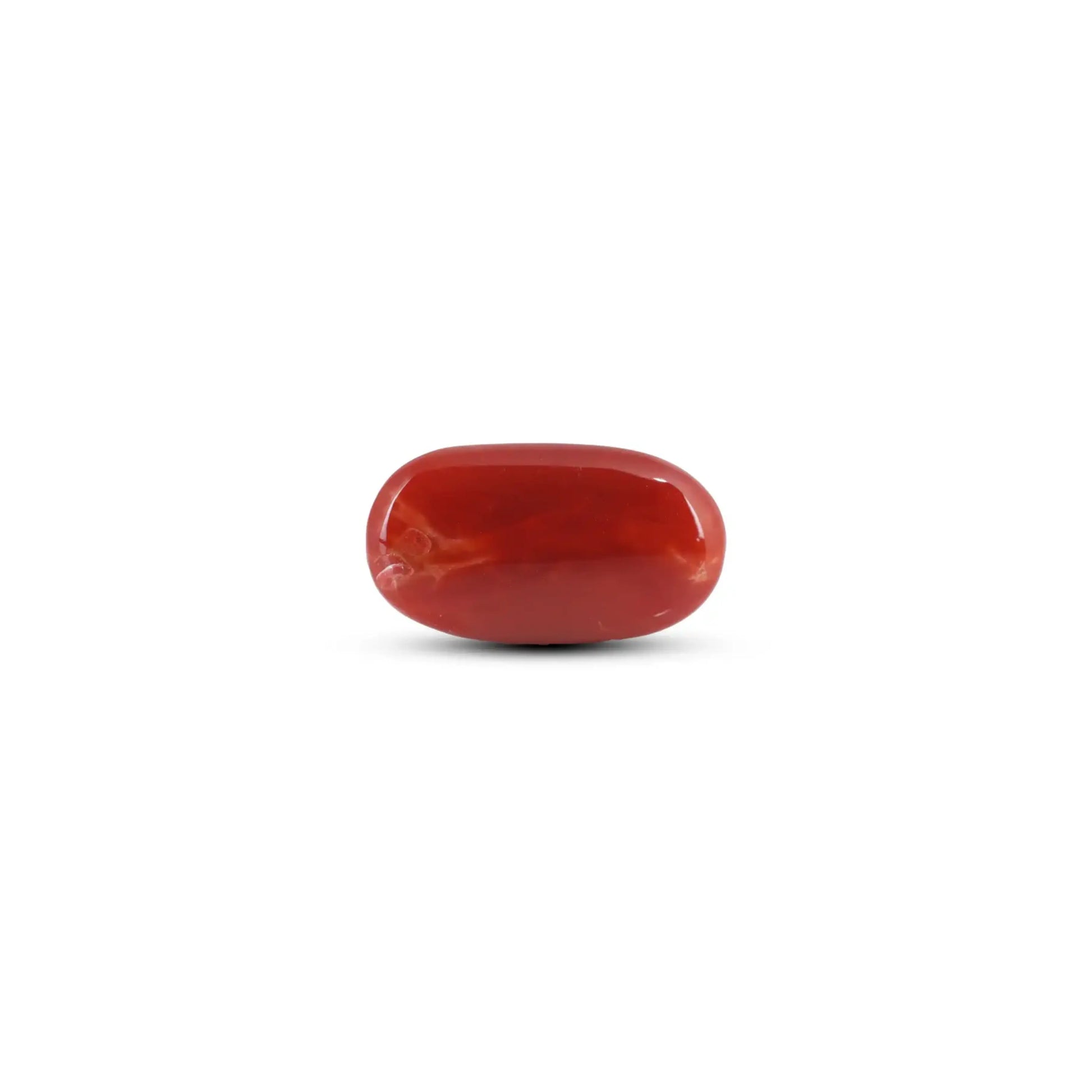Japanese Red Coral - 7.8 Carat