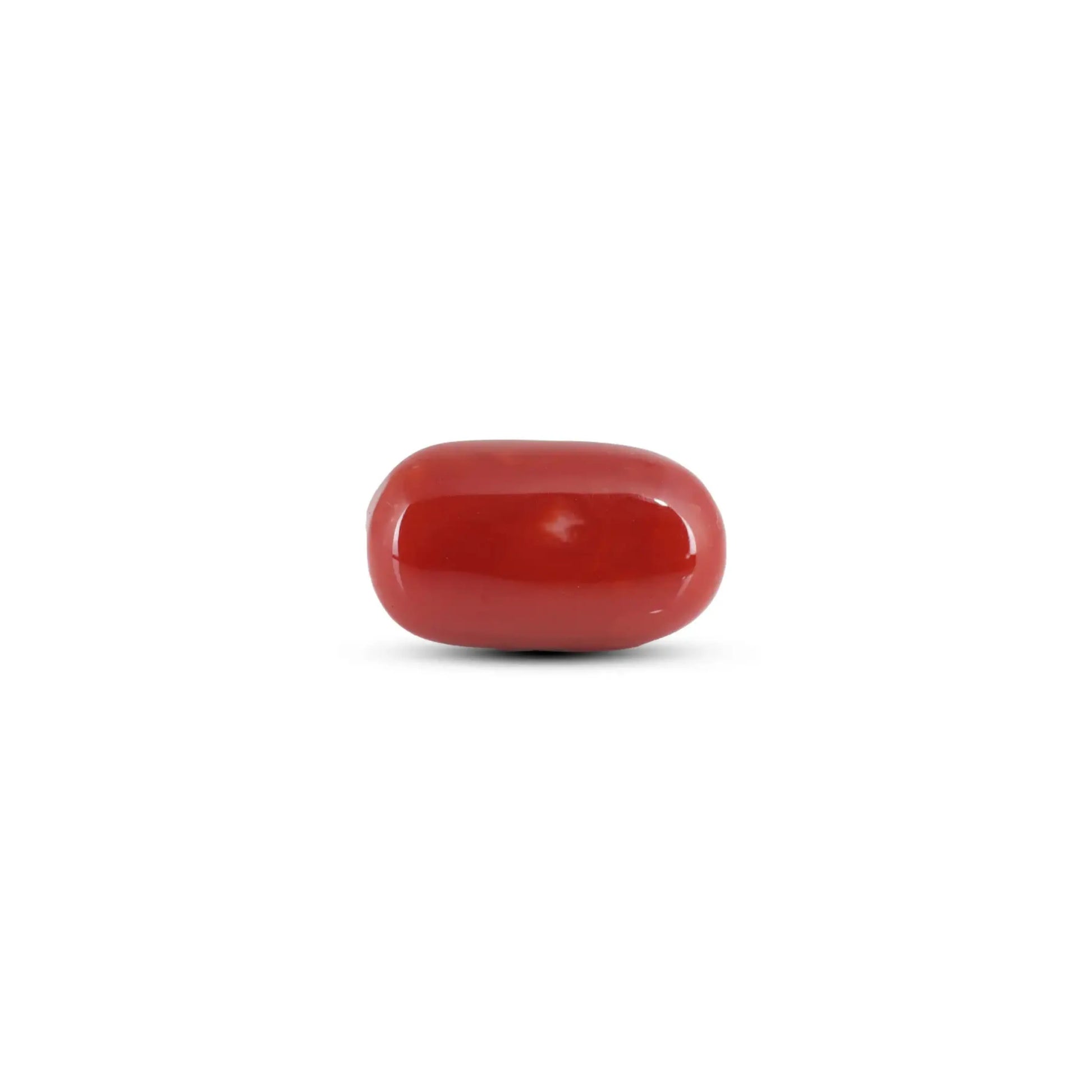 Japanese Red Coral - 8.1 Carat
